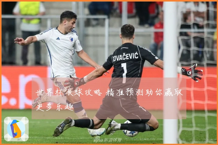 世界杯滚球攻略 精准预测助你赢取更多乐趣